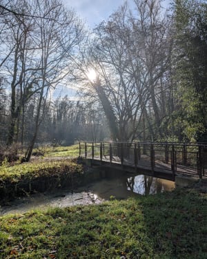 Un Dimanche à Epinay, le long de l'Yerres - Boussy-Saint-Antoine - 8