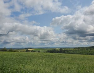 Sortie à Tournehem-sur-la-Hem - Tournehem-sur-la-Hem - 6