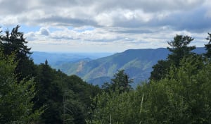 Wandelen naar Mont Aigoual - Val-d'Aigoual - 8