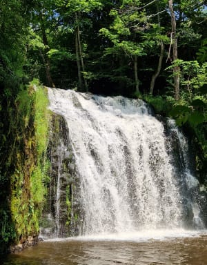 Les cascades d'Eglineuve d'Entresaigle - Égliseneuve-d'Entraigues - 11
