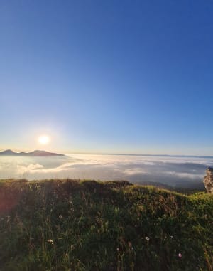 Le Mont d'Or par les GR® 5 et 509 - Longevilles-Mont-d'Or - 7