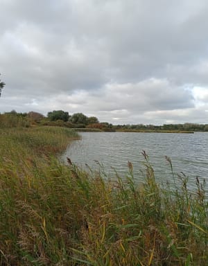 Marche au lac de Téteghem - Téteghem-Coudekerque-Village - 34