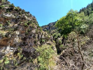 Wandelingen naar de Gorges de Trévans en de Saint-André-kapel - Estoublon - 9