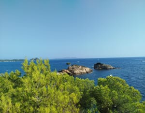 Entre terre et mer, du côté de Bregancon - Bormes-les-Mimosas - 49