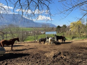 Champagnier- Le tour de colline - Champagnier - 7