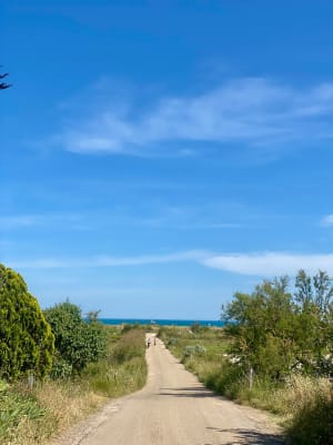 Kathedraal van Maguelone en wandeling langs de kust - Palavas-les-Flots - 11