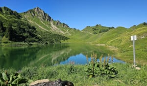 Lac Lessy, een alpiene schoonheid - Le chinaillon - 20