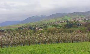 Promenade Jarrezienne par le Garon - Soucieu-en-Jarrest - 13