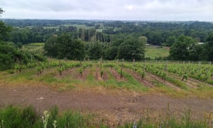 Balade dans les côteaux de Thouarcé - Bellevigne-en-Layon - 5