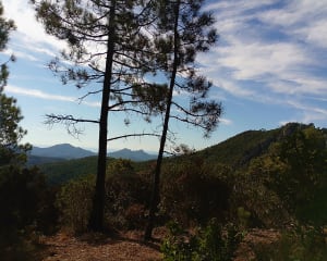 Panorama au Mont Vinaigre - Fréjus - 10