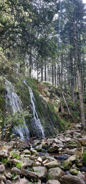 Pissoire-waterval en ongelooflijke verhalen in Haut du Tôt - Vagney - 12