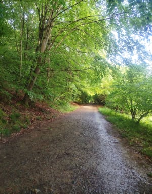 Des rives du Gave au Hédas - Pau - 6