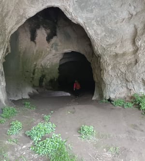 Collias la vire des chèvres - Collias - 11