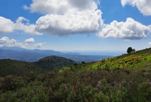 Vence et ces Baous (Noirs et Blancs ). - Vence - 9