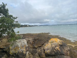 Wandeling langs de oevers van de Golf van Morbihan tussen Pointe de Bernon en Pointe de l'Ours - Sarzeau - 10