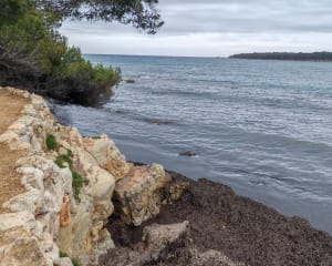 Boucle complète autour de l'île de Sainte Marguerite - Cannes - 20