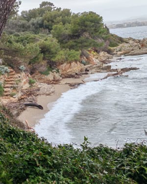 Boucle complète autour de l'île de Sainte Marguerite - Cannes - 23