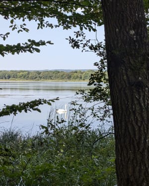 Balade le long de la digue au lac de Madine - Nonsard-Lamarche - 8