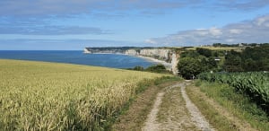 Le domaine des Hogues - Yport - 19