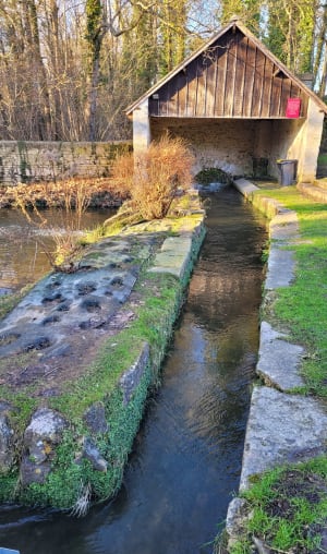Randonnée à Vallangoujard - Vallangoujard - 8