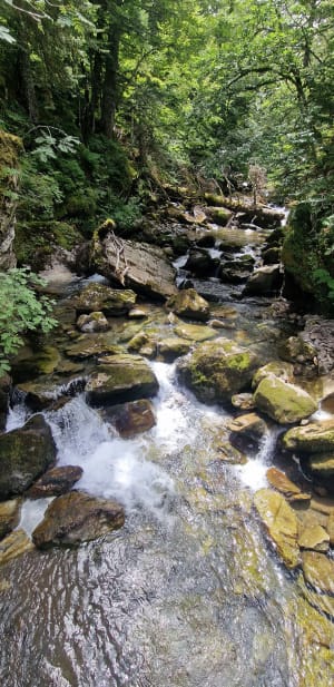 Wandeling naar de Ayous-meren en overnachting in de bergen - Laruns - 5