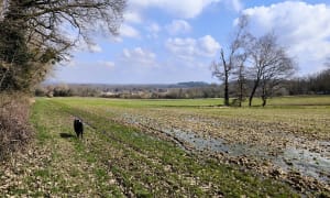 Autour du Château du Marais - Sophie - 6