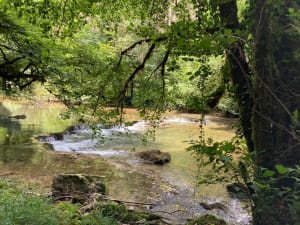 Plongée dans les Gorges du Lison, au pays des crapauds - Éternoz - 6