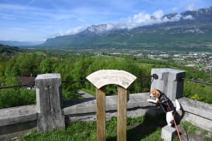 Châteaux du Grésivaudan et histoires du passé - Saint-Maximin - 9