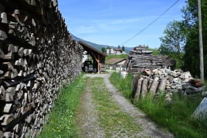 Châteaux du Grésivaudan et histoires du passé - Saint-Maximin - 10