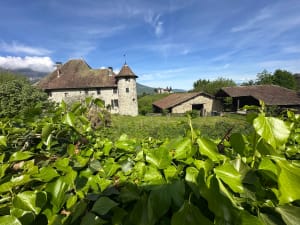 Châteaux du Grésivaudan et histoires du passé - Saint-Maximin - 11