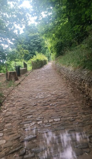 Promenade à Cassel - Bavinchove - 11