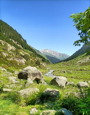 Le lac de Suyen et la toue de Doumblas - Arrens-Marsous - 12