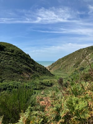 Promenade dans la vallée du Lude - Carolles - 73