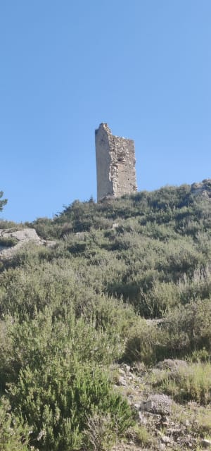 Les tours de Castillon - Paradou, Maussane-les-Alpilles - 2