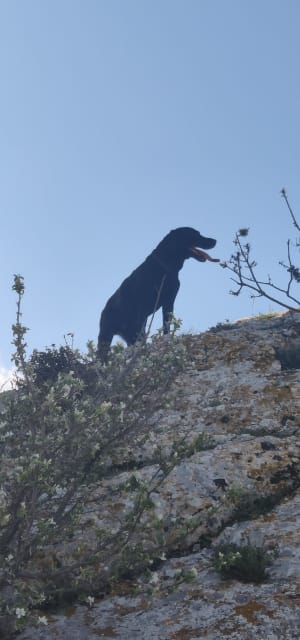 Les tours de Castillon - Paradou, Maussane-les-Alpilles - 3