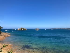 Tronçon GR34 de Carantec, par la Pointe de Penn al Lann - Anne Flore - 54