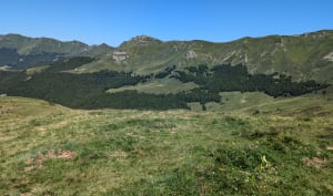Belle randonnée sur les alpages, départ et retour le Lioran. - Laveissière - 10