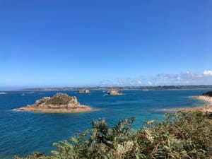 Tronçon GR34 de Carantec, par la Pointe de Penn al Lann - Anne Flore - 55