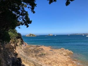 Tronçon GR34 de Carantec, par la Pointe de Penn al Lann - Anne Flore - 56