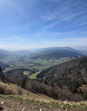 Balade du Mont Forchat depuis Très le Mont - Lullin - 18