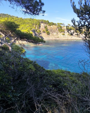 Kustpad van het schiereiland Giens - Hyères - 31