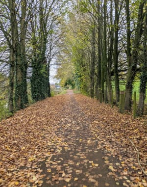 Marche nordique à Armentières - Armentières - 6