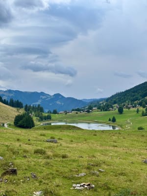 Lac des Confins et ses alpages colorés - La Clusaz - 3