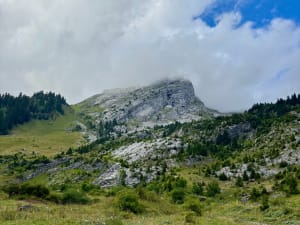 Lac des Confins et ses alpages colorés - La Clusaz - 4