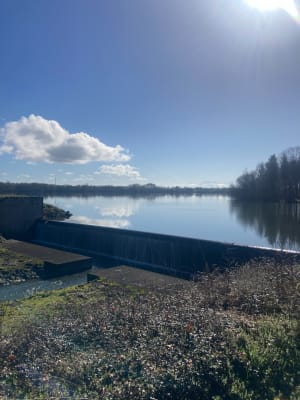 Tour du lac de l'Ayguelongue - Mazerolles - 7