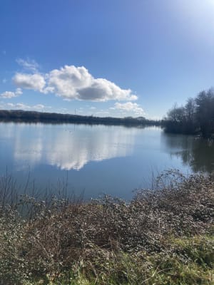 Tour du lac de l'Ayguelongue - Mazerolles - 8