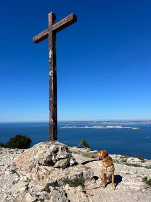 Croix de Marseilleveyre et panoramas sur la cité phocéenne - La Pointe Rouge - 23