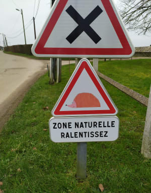 Randonnée du " vieux puits" - Romi - 6