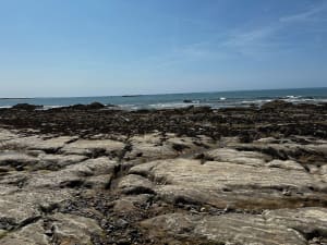 Circuit plages et champs à Bretignolles-sur-Mer - Gaetan - 3