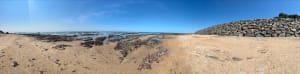 Circuit plages et champs à Bretignolles-sur-Mer - Gaetan - 4